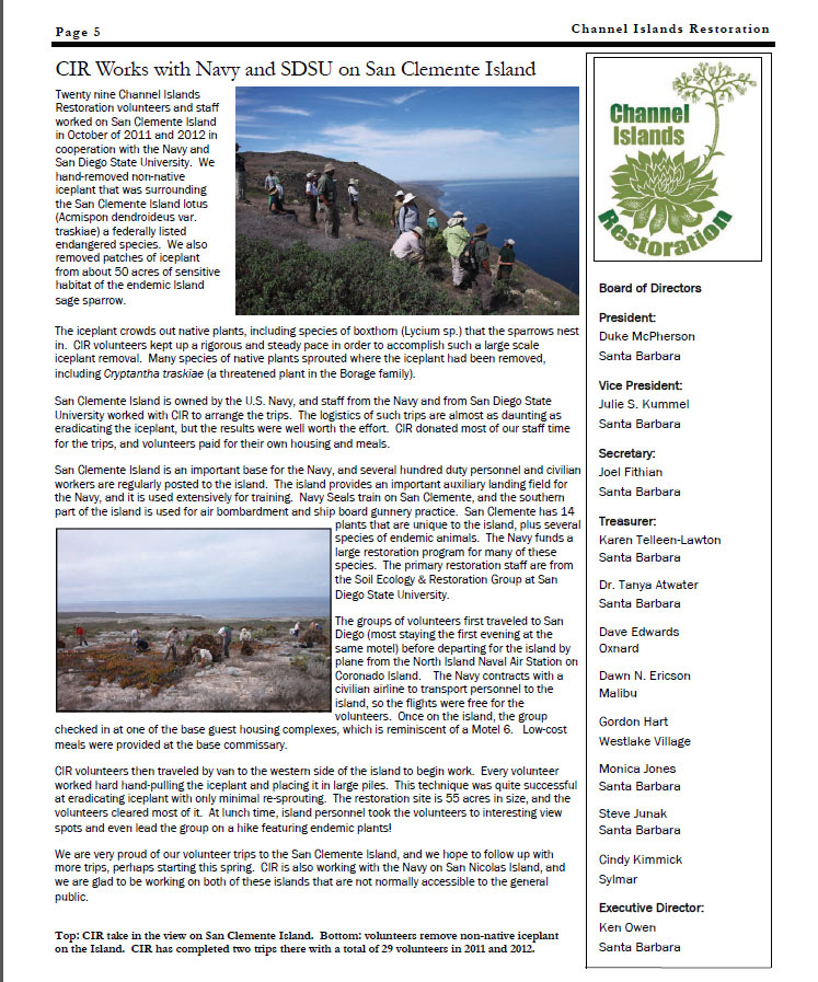 Page 5