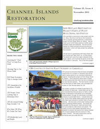 November 2015 CIR Newsletter