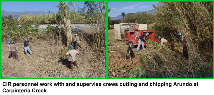 Carpinteria Creek Restoration (Channel Islands Restoration