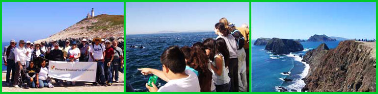 Volunteers on Anacapa Island