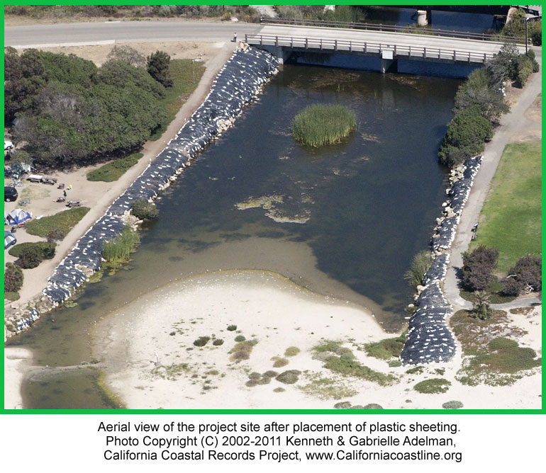 CIR Carpinteria State Beach Iceplant Removal Project