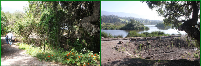 CIR Santa Barbara Zoo Andree Clark Bird Refuge restoration project
