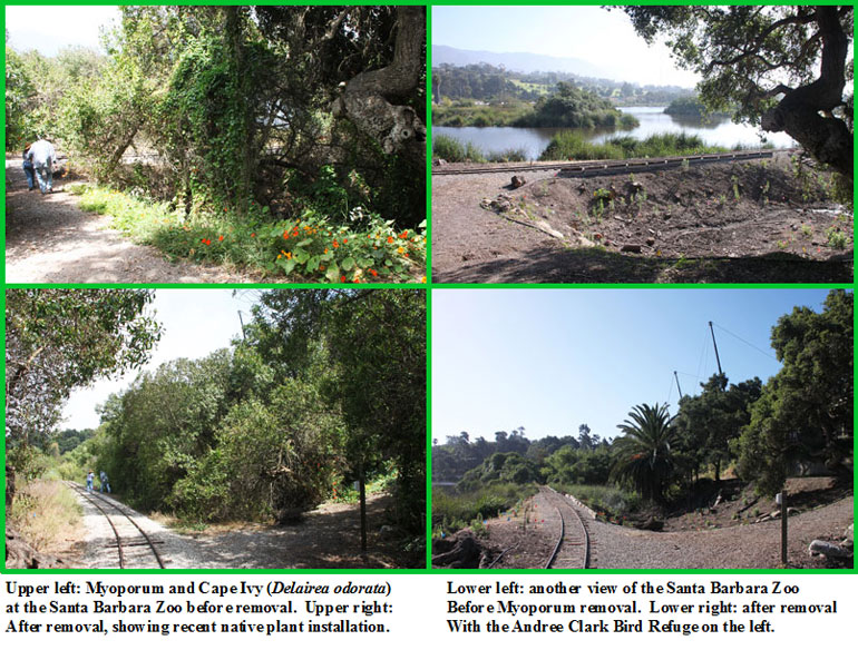 Santa Barbara Zoo Restoration