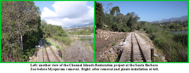 Santa Barbara Zoo Restoration