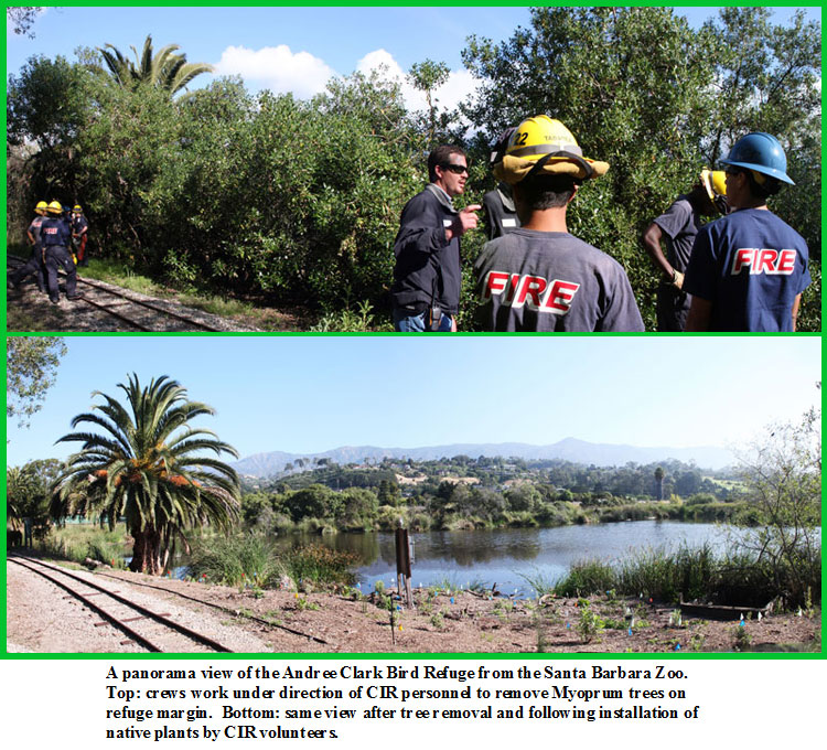 Santa Barbara Zoo Restoration